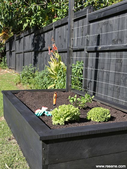How To Make A Raised Vegetable Garden Habitat Issue 20