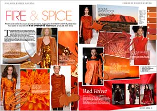 Image result for fashion magazine with good color scheme